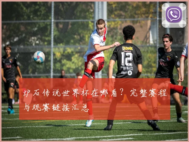 炉石传说世界杯在哪看?完整赛程与观赛链接汇总