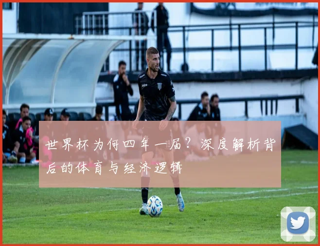 世界杯为何四年一届?深度解析背后的体育与经济逻辑