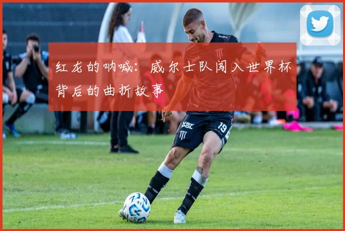 红龙的呐喊:威尔士队闯入世界杯背后的曲折故事