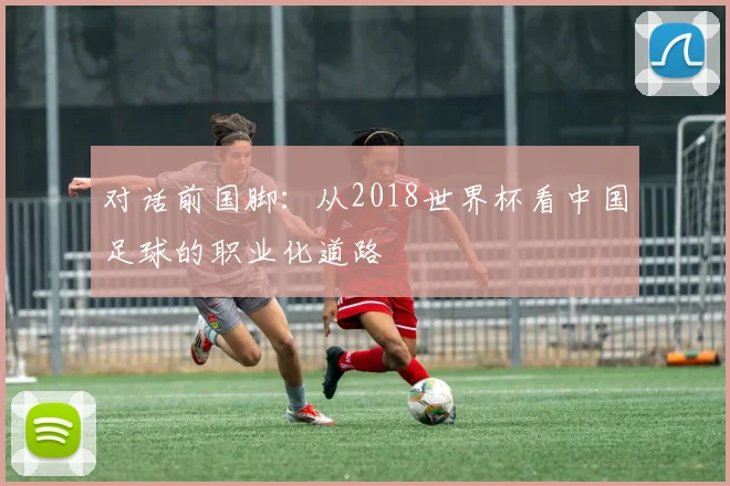 对话前国脚:从2018世界杯看中国足球的职业化道路
