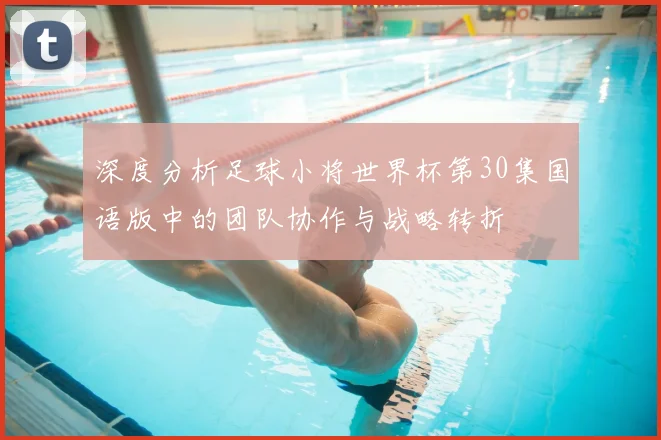深度分析足球小将世界杯第30集国语版中的团队协作与战略转折