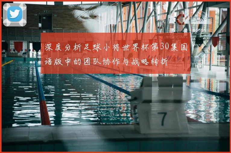 深度分析足球小将世界杯第30集国语版中的团队协作与战略转折