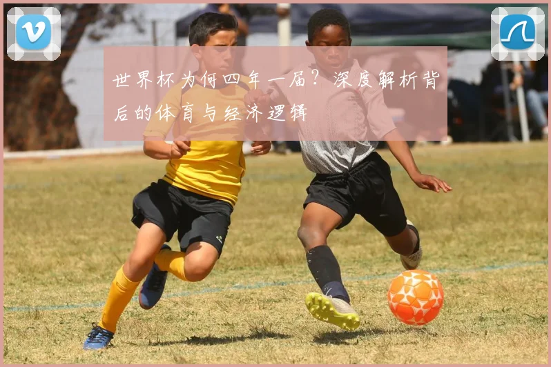 世界杯为何四年一届?深度解析背后的体育与经济逻辑