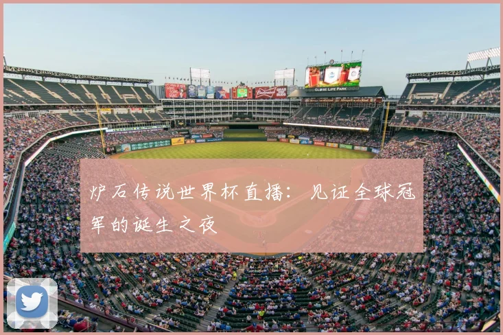 炉石传说世界杯直播：见证全球冠军的诞生之夜