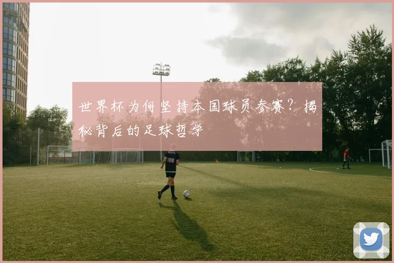 世界杯为何坚持本国球员参赛？揭秘背后的足球哲学