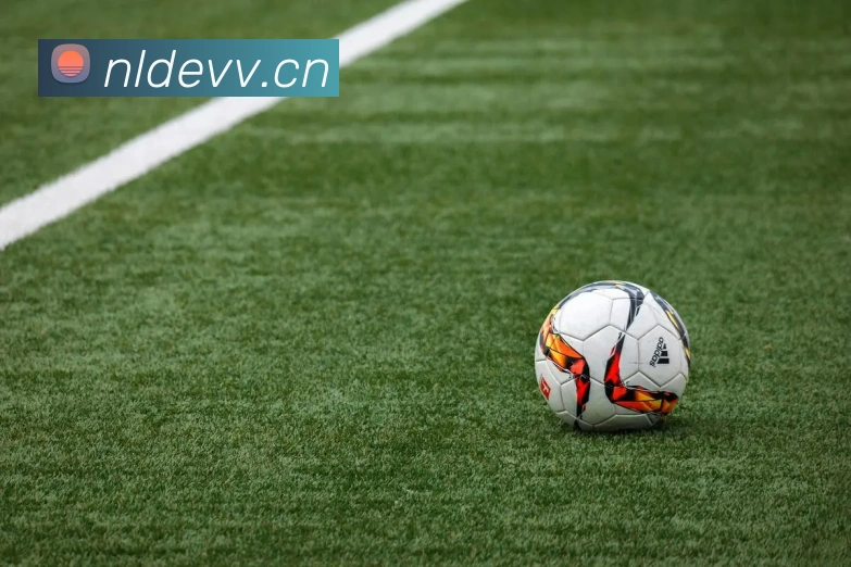 星空官方网页版登录平台生态图